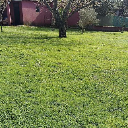 Alojamiento Entero Con Piscina Y Jardin. Ourense Esterno foto